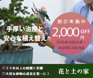 大幅な割引でご奉仕中